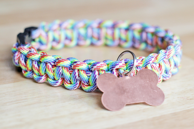 DIY Basic Dog Collar Project