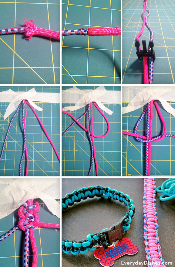 braided dog collar everydaydishes com B1