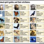 animalspiritguide