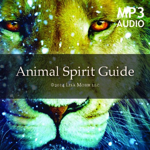 Meditation Guide