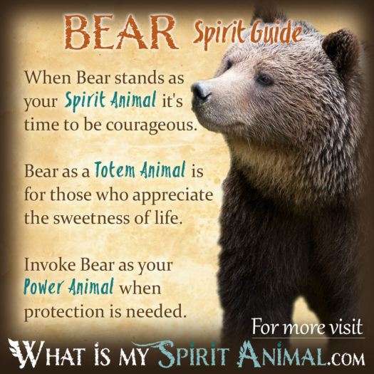 Bear Spirit Animal Totem Power Animal Symbolism Meaning 1200x1200 525x525 1