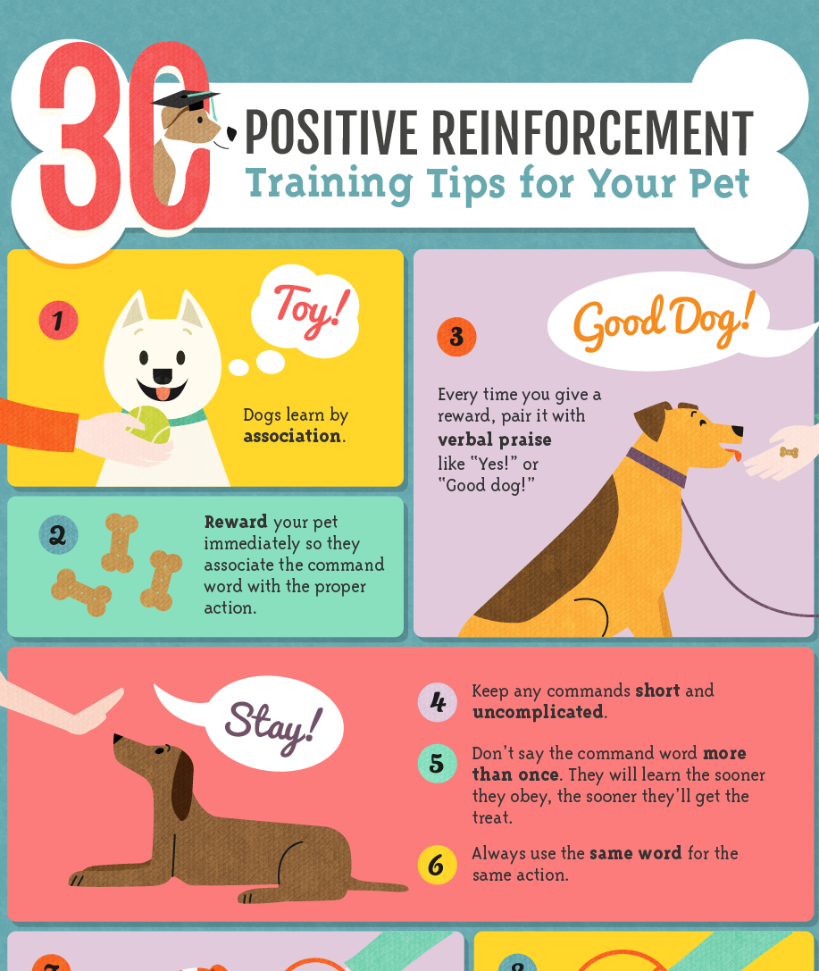 Positive Reinforcement Training