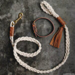 braided dog leash 0001