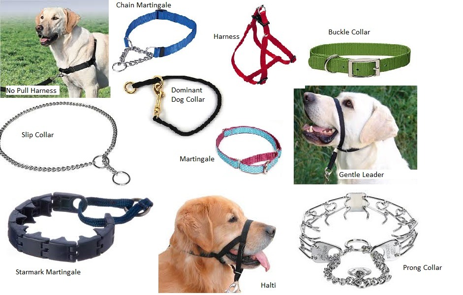 Collar Types