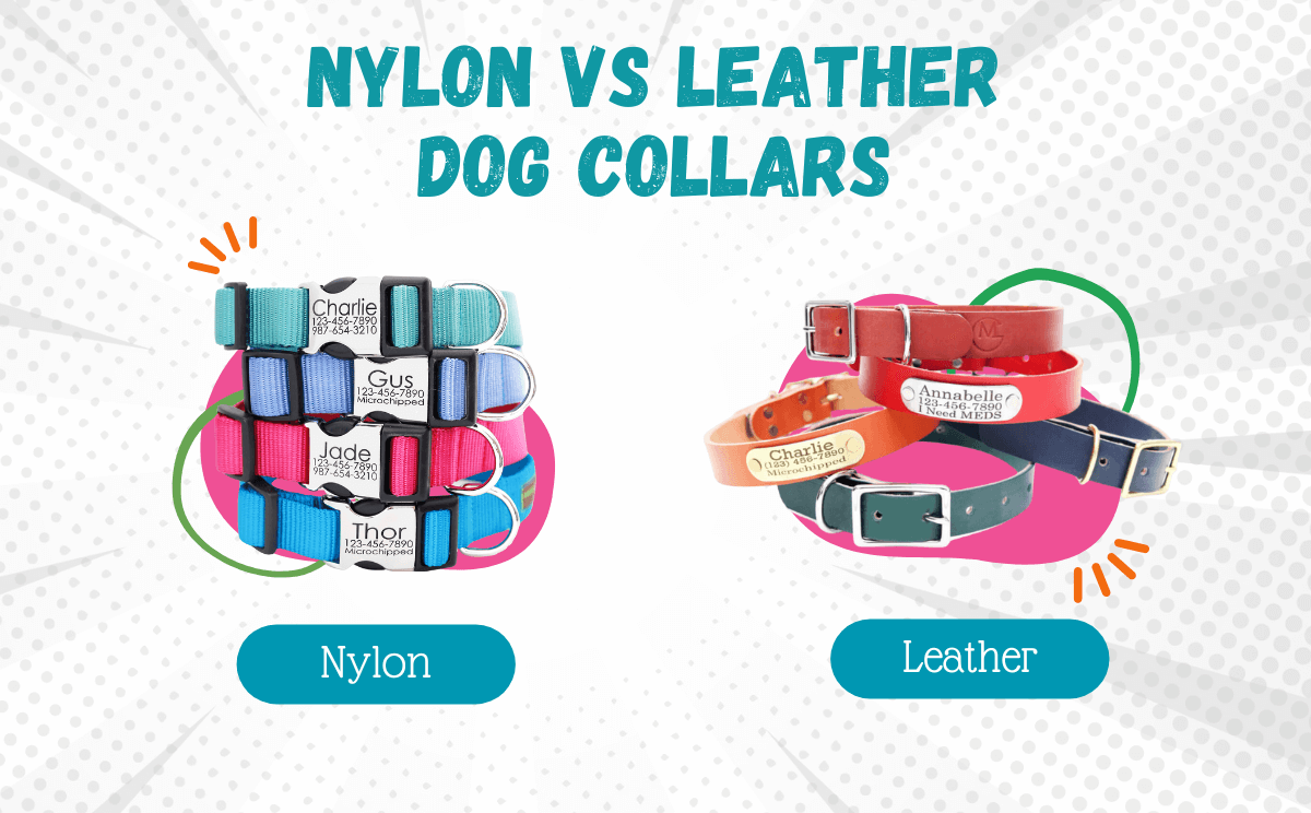 Leather vs. Nylon Dog Collars