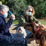 AVCVA Five tips for socializing your new companion
