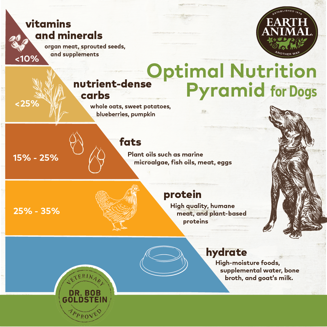 Pet Food Pyramid