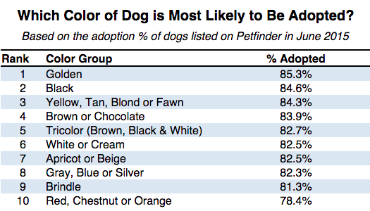 Color Perception in Pet Shelters