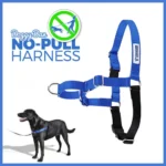 WooCom DD No Pull Harness FeaturedBlueMed 3