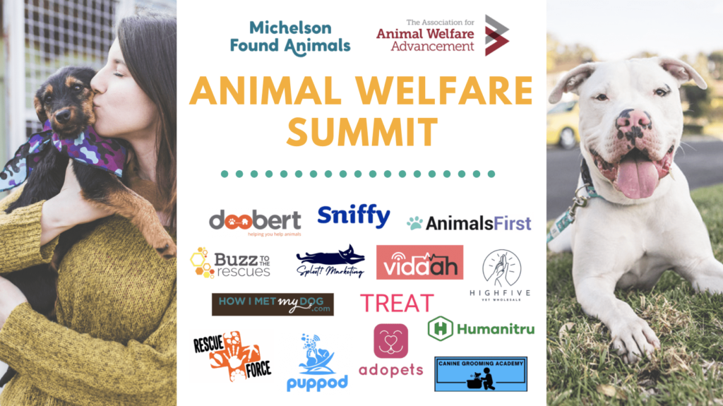 animal welfare summit 2021 mfa and taawa partnership