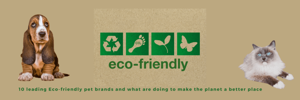 Eco-Friendly Pet Products
