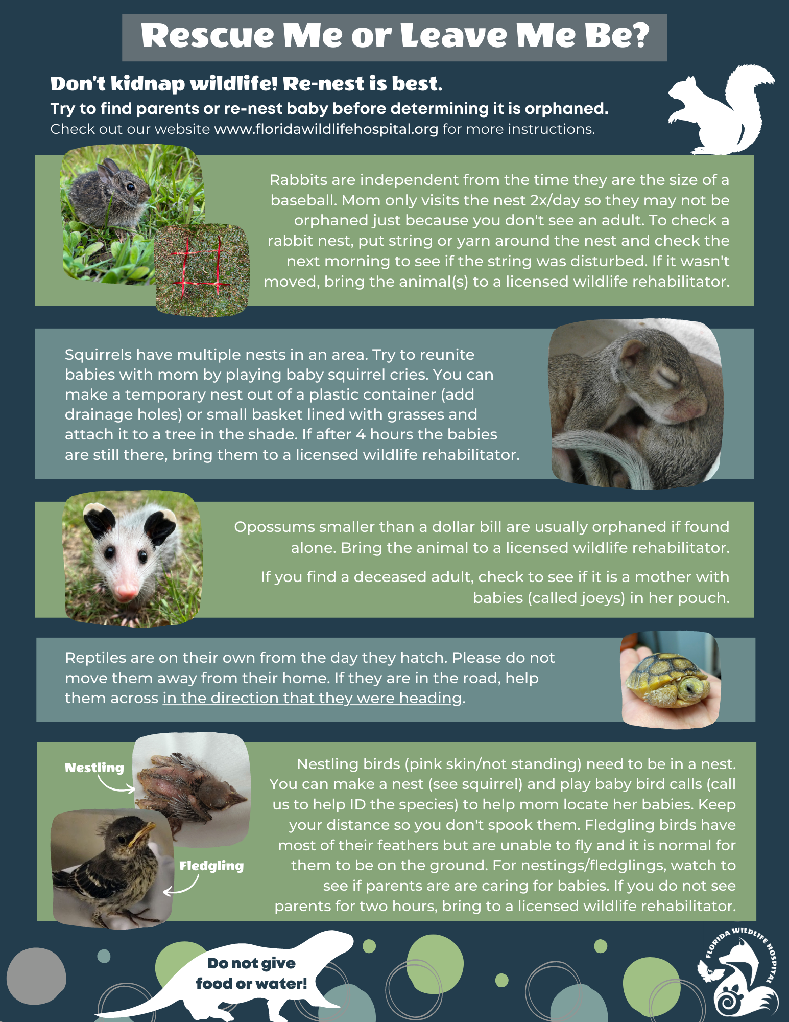 Signs of Orphaned Animals