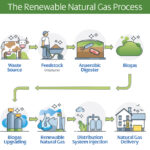 animal waste recycling to bioenergy