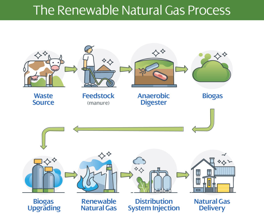 animal waste recycling to bioenergy