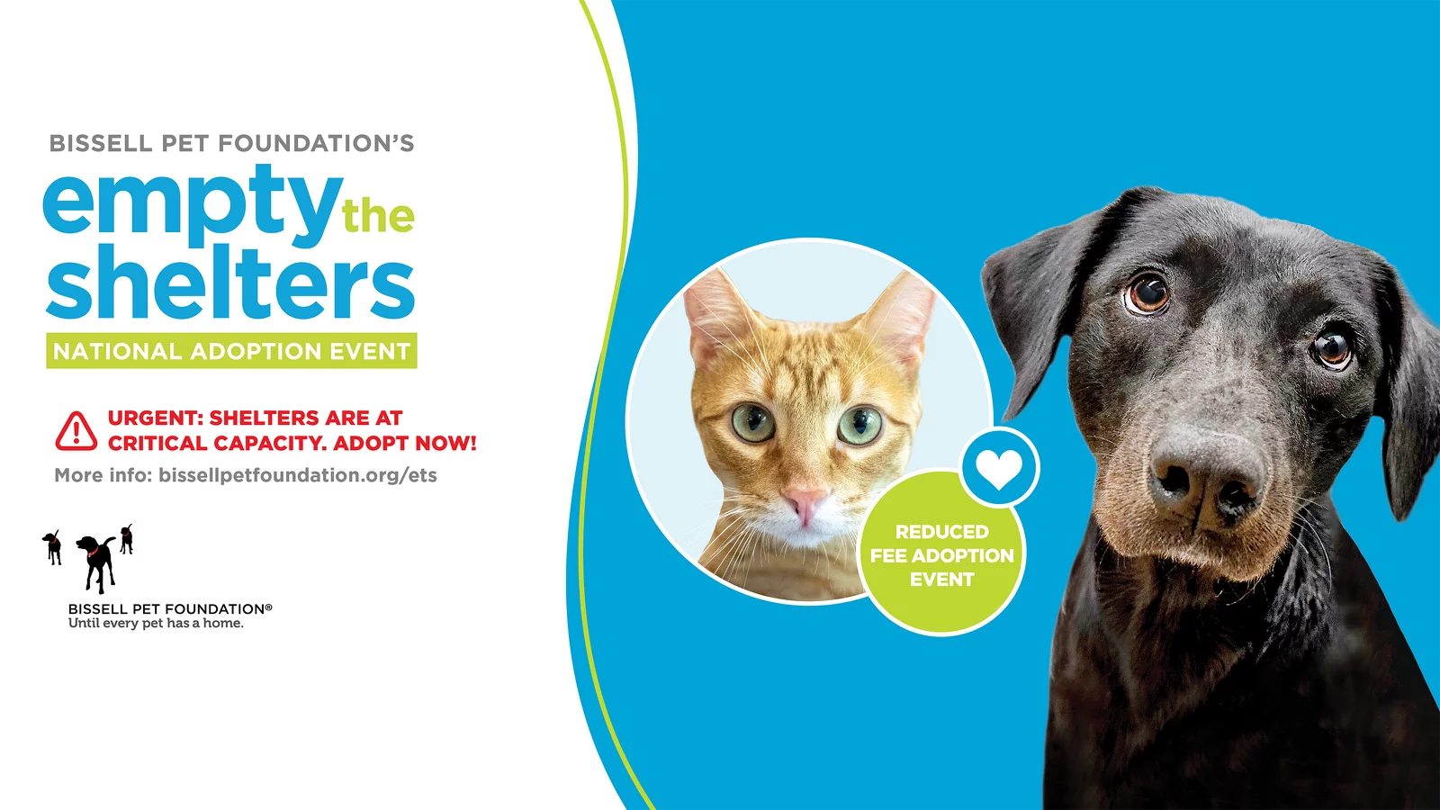 Bissell Empty the Shelters Campaign