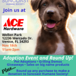 The Impact of Pet Accessories on Animal Adoption Events