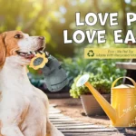 eco friendly pet products