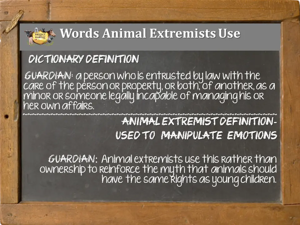 Found My Animal Product