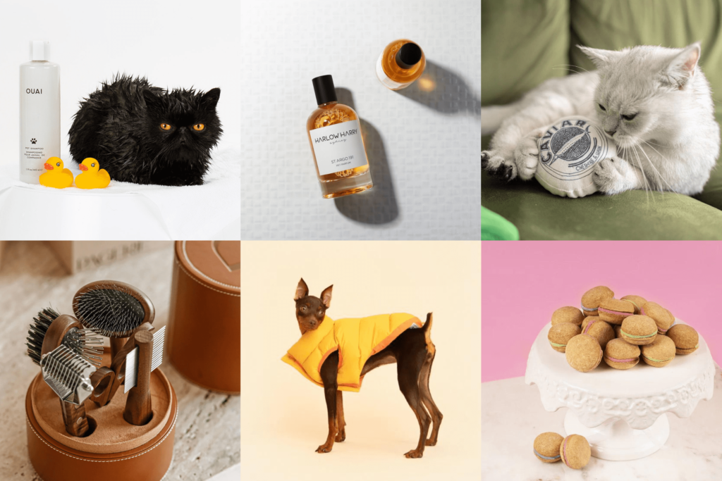 LUXE PET ACCESSORIES FEAT