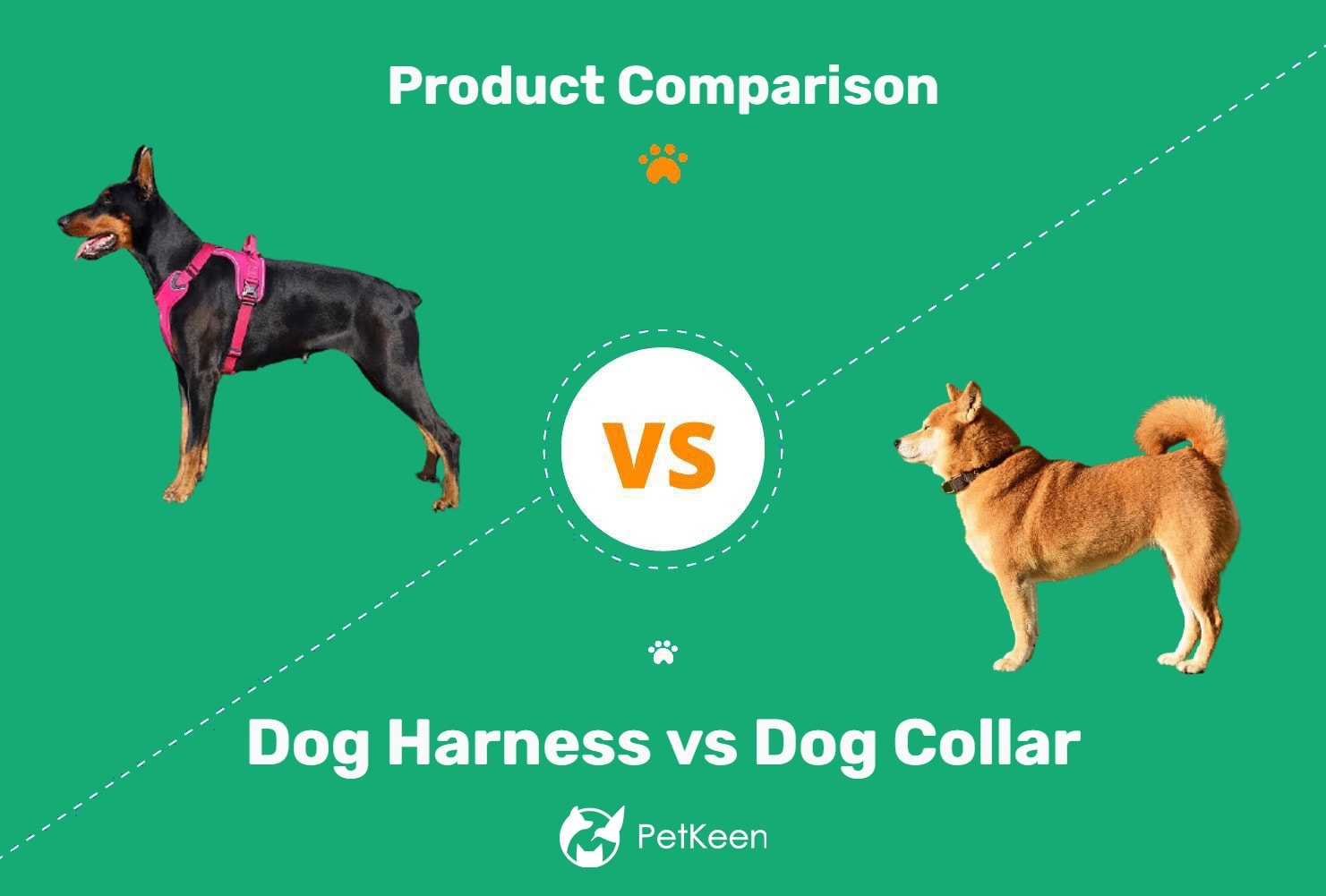 Dog Harness vs Collar