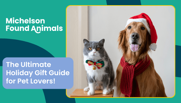 Ethical Pet Accessories