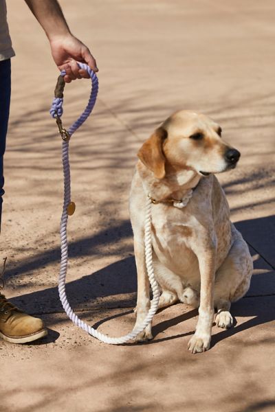 Harness for Comfort