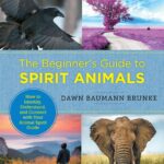 Finding My Animal Spirit in Nature: Wildlife Encounters