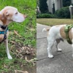 173703470867890bd4bf866