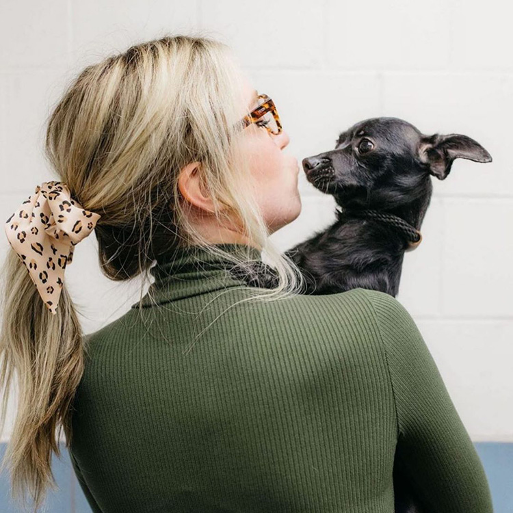 Brands That Donate to Rescues