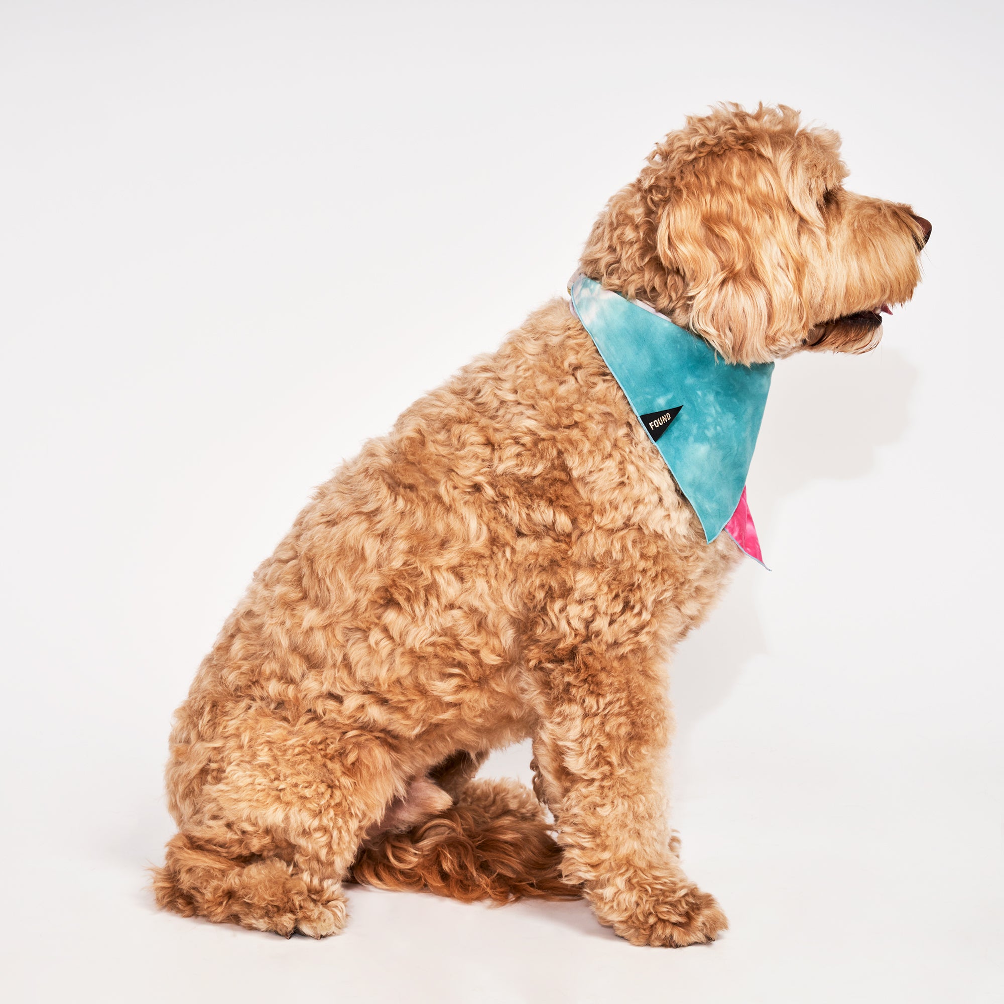 Tie-Dye Bandana for Dogs