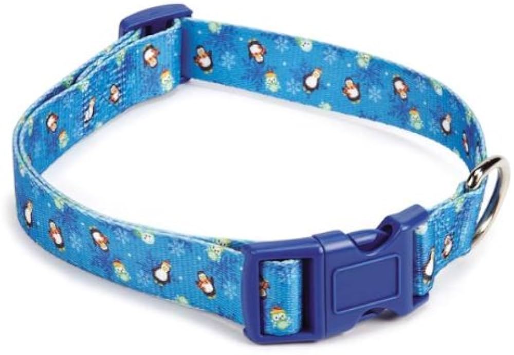 Autumn Dog Collar