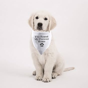 Durable and Stylish Bandanas