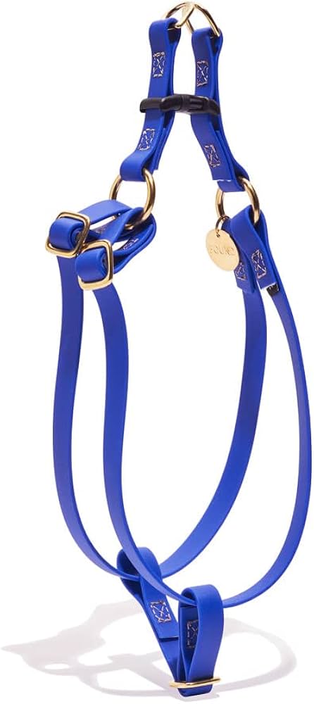 Durable Harness for Large Breeds