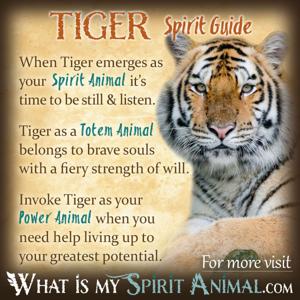 Pet and Spirit Animal Connection