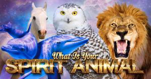 Find My Spirit Animal Quiz: What’s Your Inner Beast?