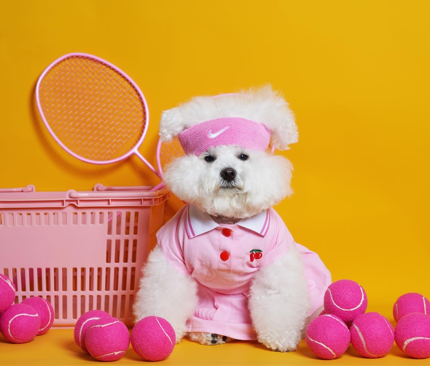 Found My Animal Accessories