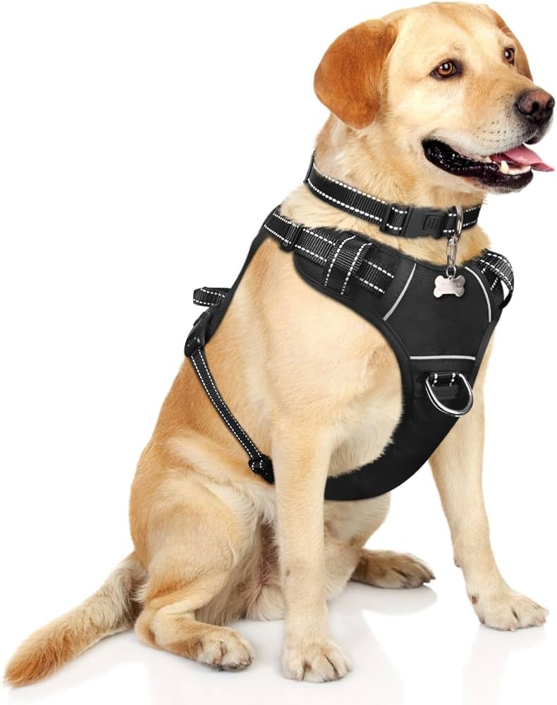 Secure Fit Harness