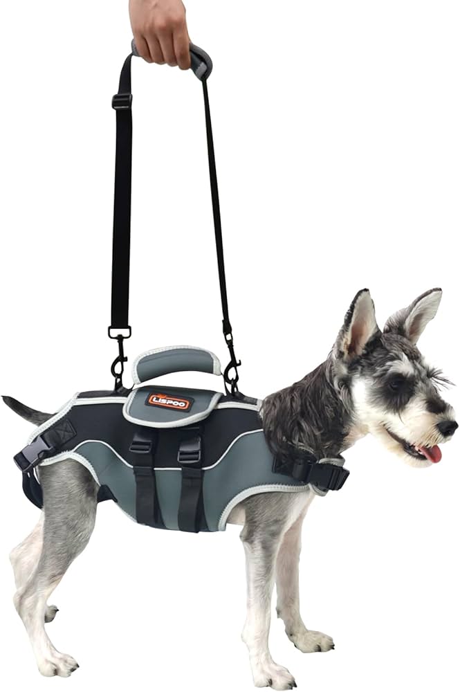 Senior Dog Harness