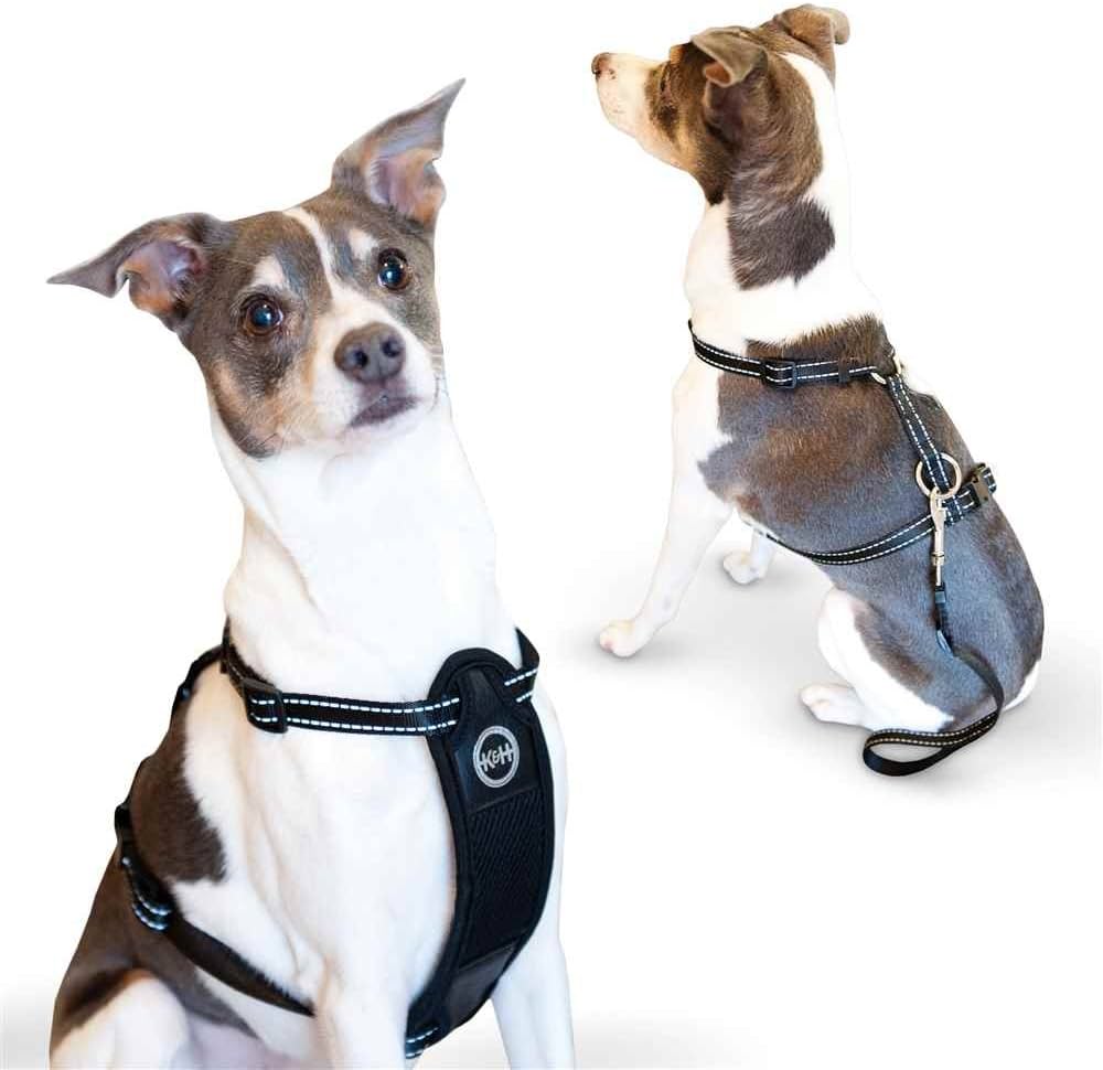 Dog Harness