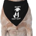 Choosing the Right Accessories for Rescue Pets – Top deals Dễ Dàng