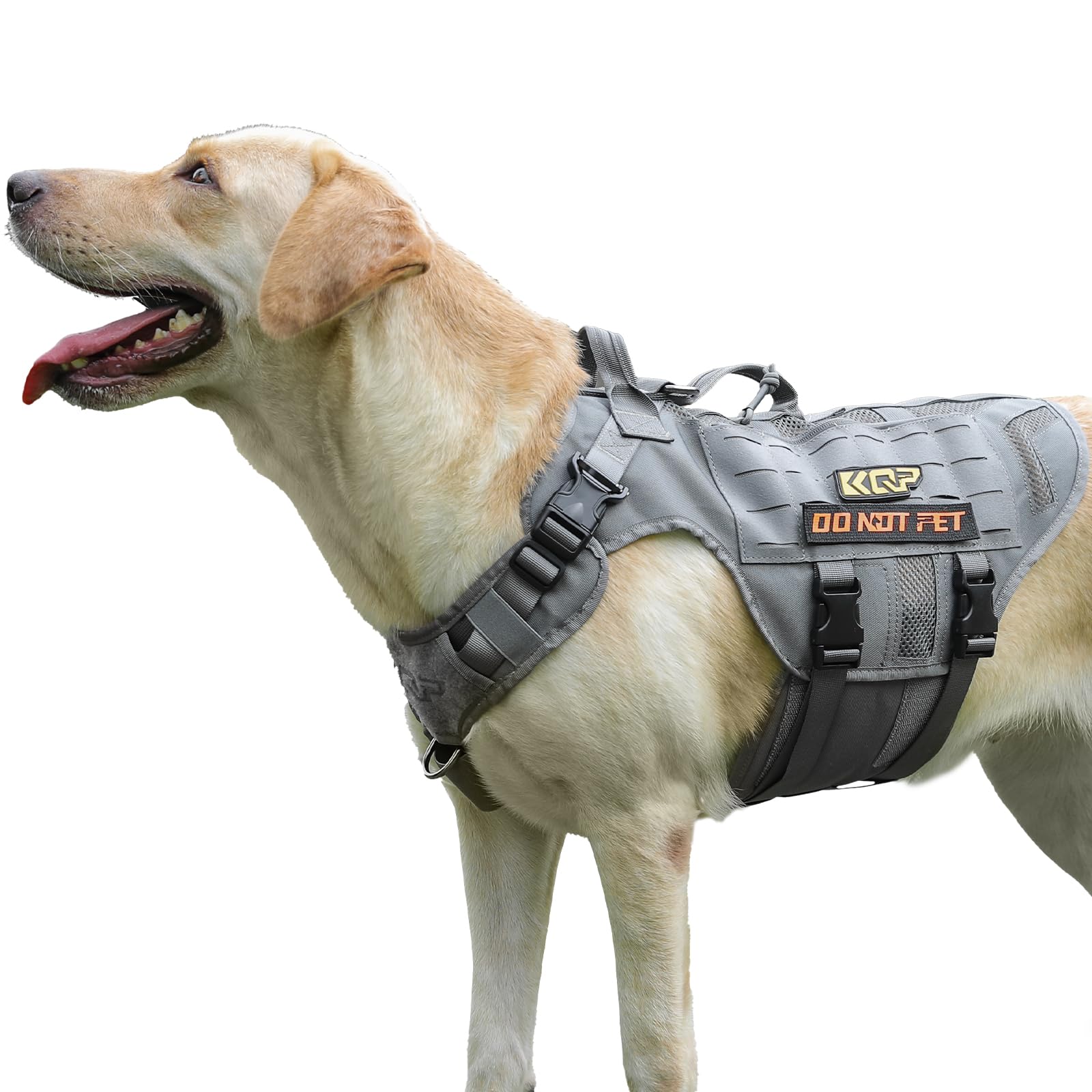 Found My Animal Harness