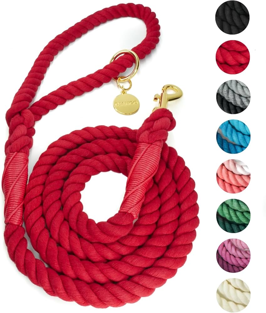 Winter Leash Colors