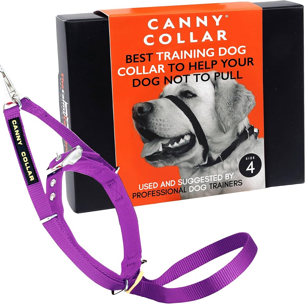 Comfortable Padded Dog Collar