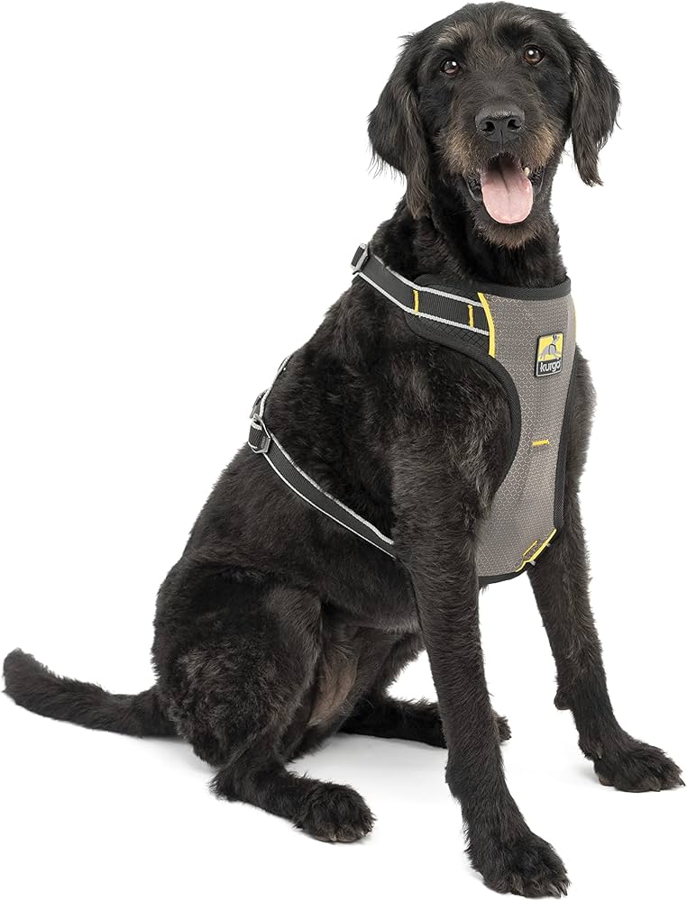 Dog Harness