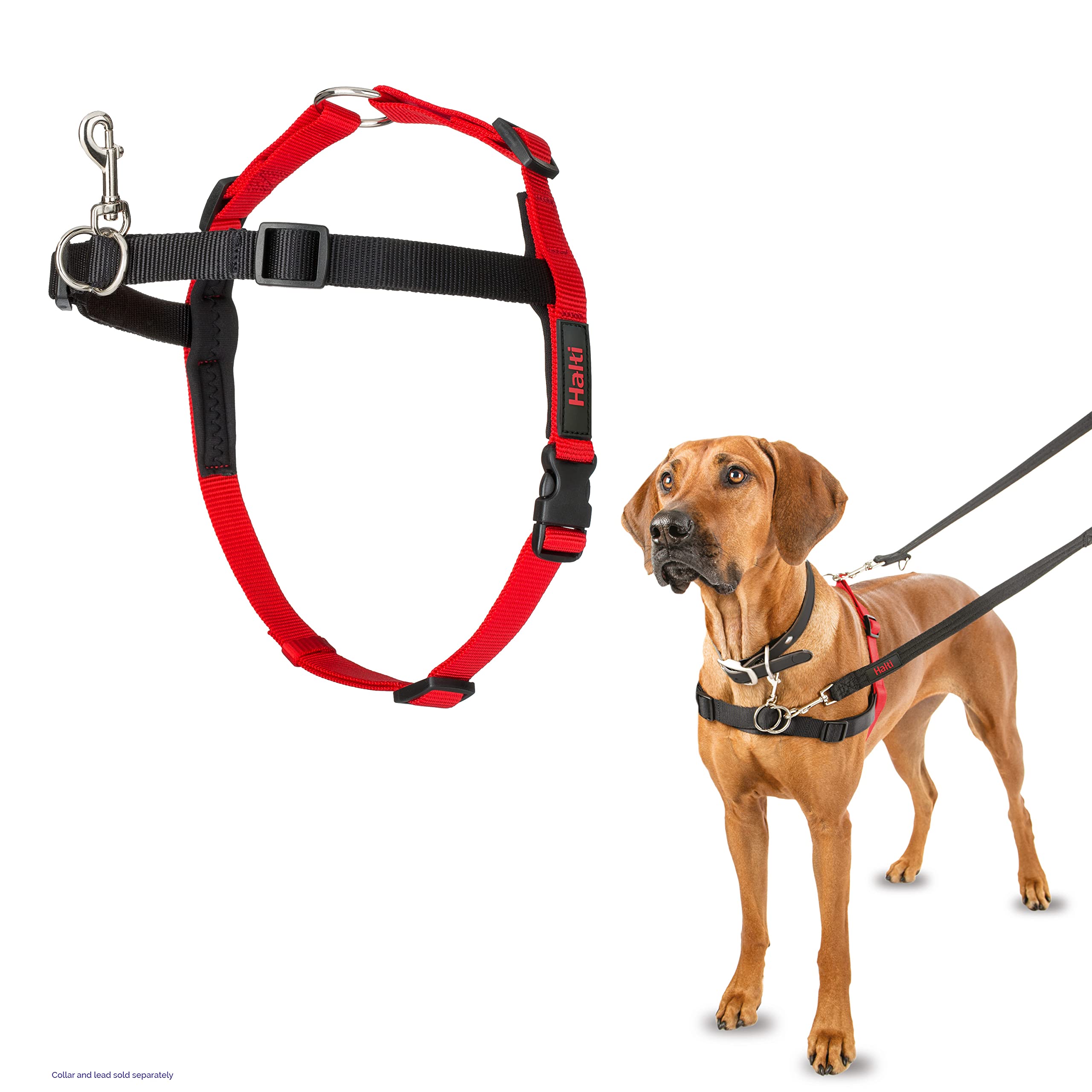 FoundMyAnimal Harness