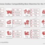 Chinese Zodiac Animal Compatibility by Sign