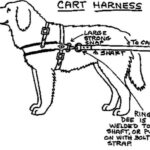 Handmade Dog Harness for Puppies: A Creative Guide