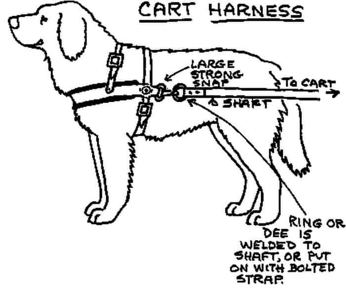 Handmade Dog Harness for Puppies: A Creative Guide