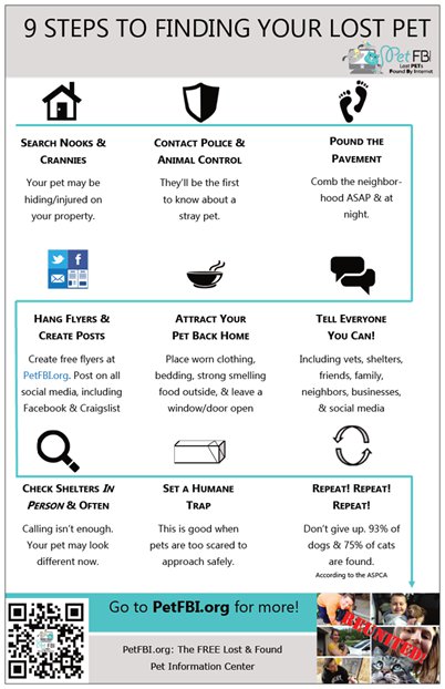 Lost Pet Flyer Tips