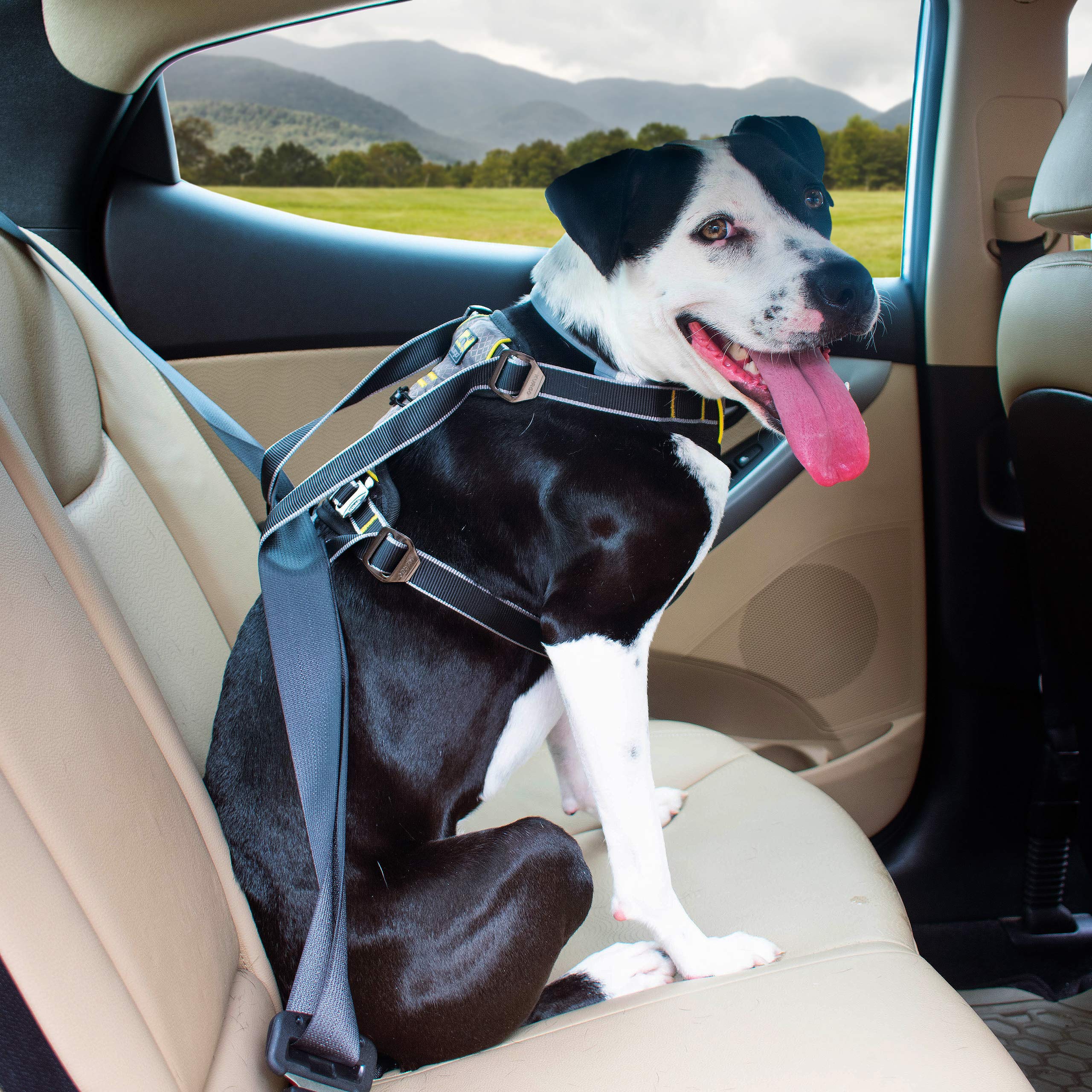 Comfortable Dog Harness